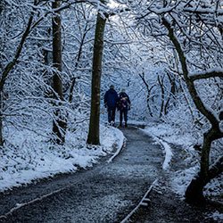 Stay well in winter