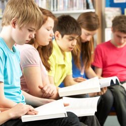 Interested in running a library?