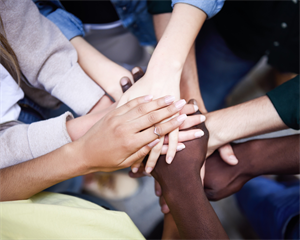 Multi-agency child protection team (MACPT)