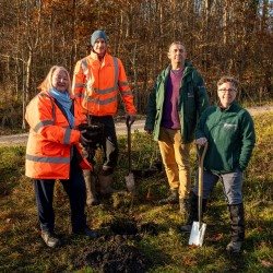 New community forest for Derbyshire
