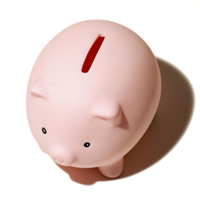Piggy Bank viewed from above