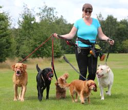Jackie Howe of Hooves and Paws Pet and Equine Services