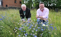 Cllr Barry Lewis and Cllr Peter Slack admire a grass verge