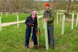 Ceremonial planting at Tibshelf Common