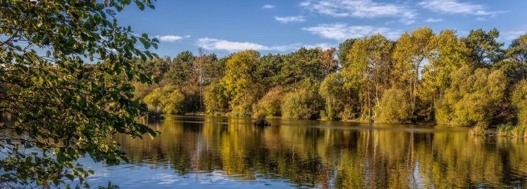 Shipley Park lake