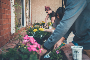 People planting window boxes