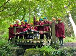 Group on a wooden bridge in woodland