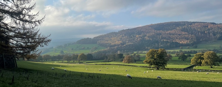 Beeley towards Rowsley