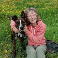 Smiling woman wearing glasses in a field on a sunny day cuddling her pet dog and surrounded by buttercups