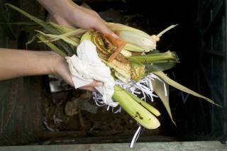 person putting household rubbish into compost bin