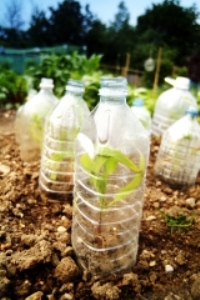 plastic bottles