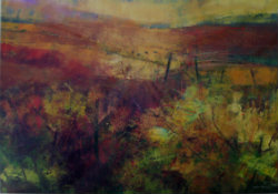 Derbyshire Moors