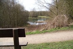 Tibshelf Pit