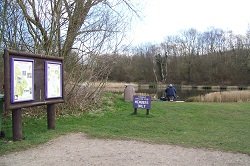 Tibshelf Ponds