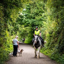 Horse rider, woman walking dogs and woman with pram on the Greenway