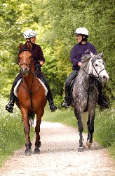 Horse riding on the High Peak Trail