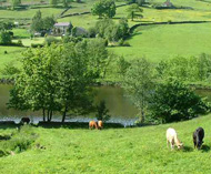 Sett Valley Trail