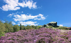 Ashover Rock