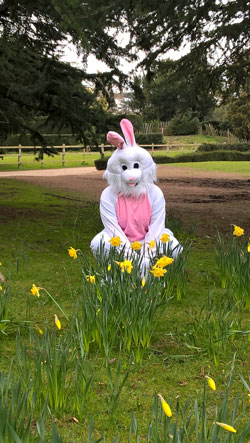 easter-bunny