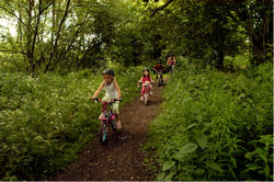 People cycling on a trail