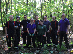 Volunteers felling trees