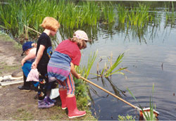School children pond dipping