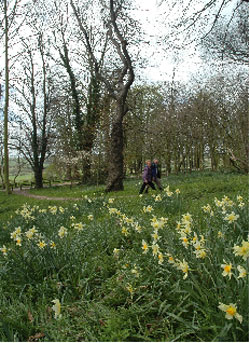 People Walking on Shipley Hill