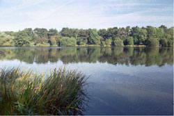 Osborne's Pond