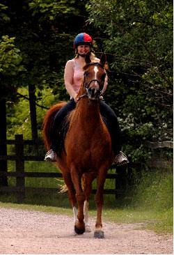 Horse Rider, Shipley Country Park