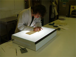 tracing on parchment